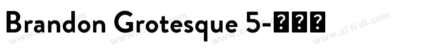 Brandon Grotesque 5字体转换